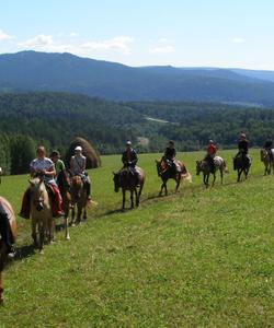 Конная прогулка в Башкирии