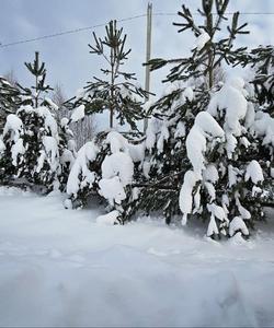 Деревня Каменка