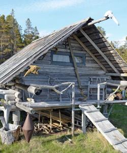 Тоня Тетрина