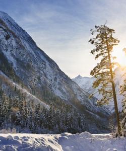 Домбай зимой