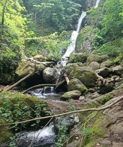 Водопад в Грузии