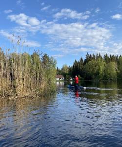 катание на сапбордах Ленобласть