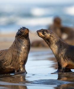 Тур на Камчатку