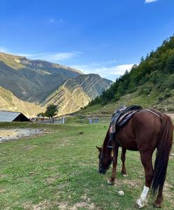 Тур в Дагестан