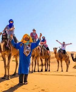 Прогулки на верблюдах в Марокко