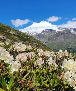 Вид на Эльбрус 