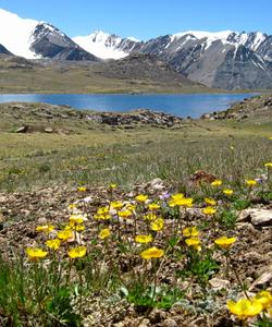 Горный пейзаж