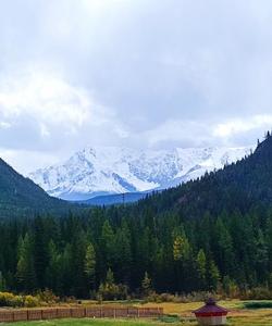 Местные пейзажи 