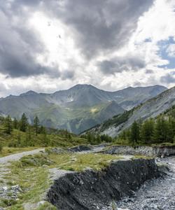 Природный пейзаж