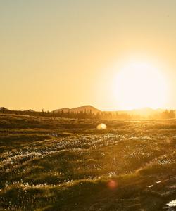 Летний тур на Ямал