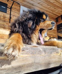 Зимний тур на Байкал