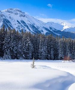 Зимний тур на Алтай