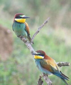 Заповедник Черные Земли