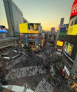 Обзорный тур по Японии