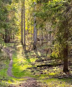 Поход по Большой Валдайской тропе