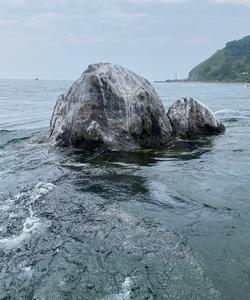 Местный пейзаж