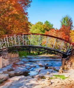 Курортный парк