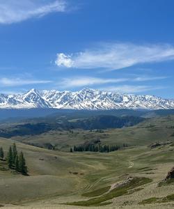 Курайская степь