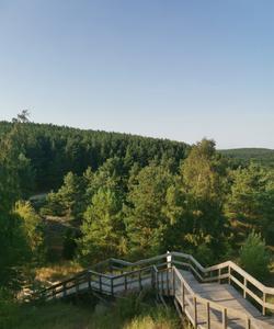 Куршская коса