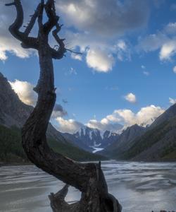 Местный пейзаж