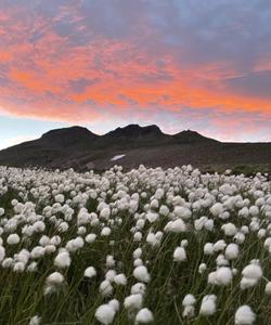 тур на Камчатку