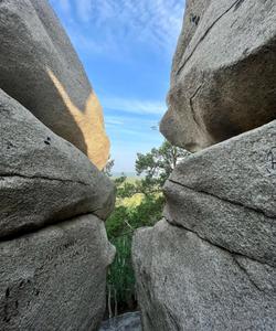 Местный пейзаж