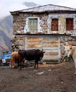 Горный пейзаж