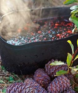 Походная кухня