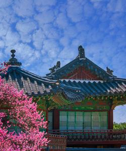 Весна в Сеуле