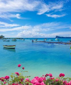 Лагуна на Маврикии