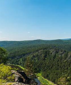 Местный пейзаж