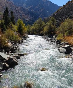 Парк Ала-Арча