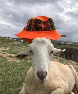 отдых в Дагестане