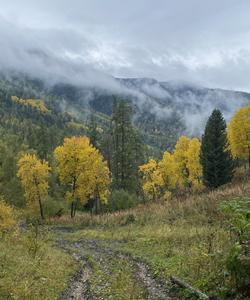 Пеший поход к подножию Белухи