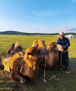 тур в Монголию