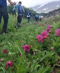 поход на Камчатке