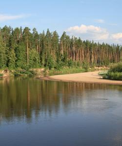 Сплав по реке Большая Кокшага