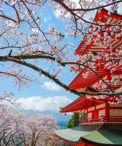 Аракура Фудзи Сэнгэн