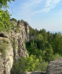 Местный пейзаж