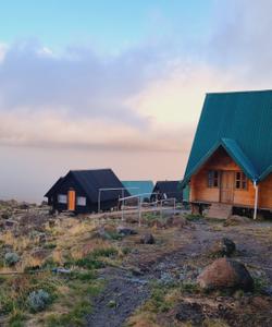 национальный парк Килиманджаро