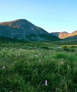 Тур на Полярный Урал