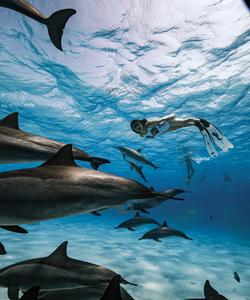 Подводный мир