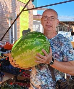 Астраханский арбуз