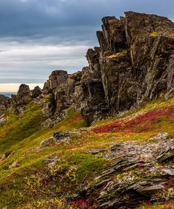 Местный пейзаж