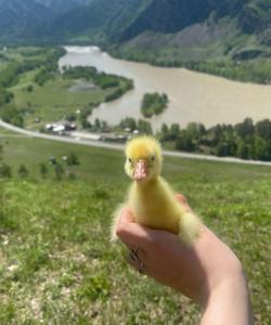 Этнотур на Алтай