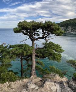 Тур во Владивосток