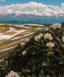 Горный пейзаж