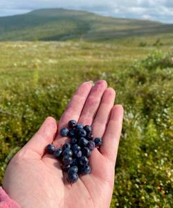 Поход на перевал Дятлова и гору Отортен