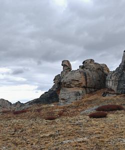 Урочище Чокпартас