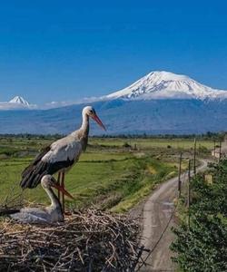 Армения весной